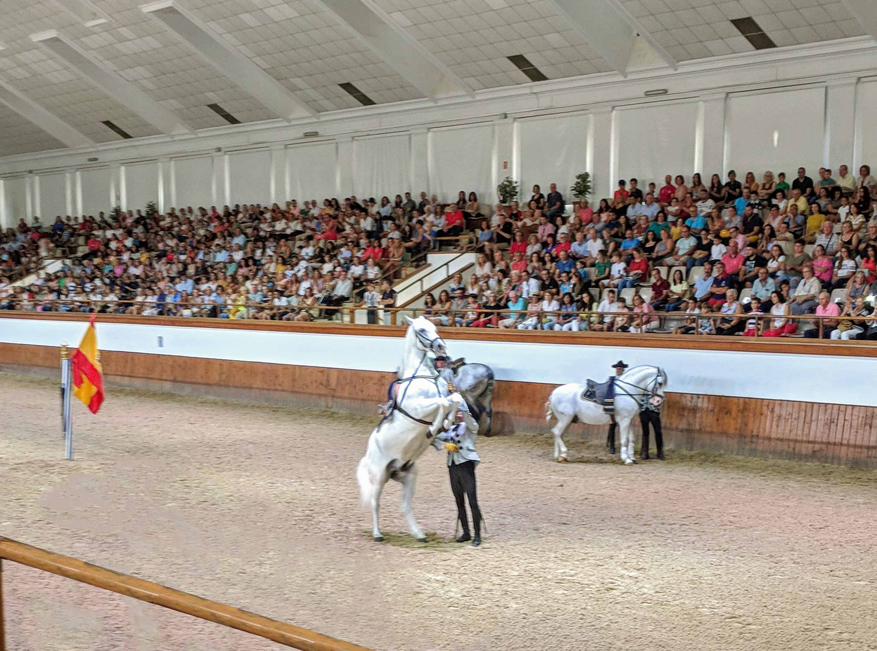 Royal Andalusian School of Equestrian Art